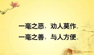 莫以善小而不為 莫以惡小而為之|勿以惡小而為之，勿以善小而不為:釋義,原文,典故,